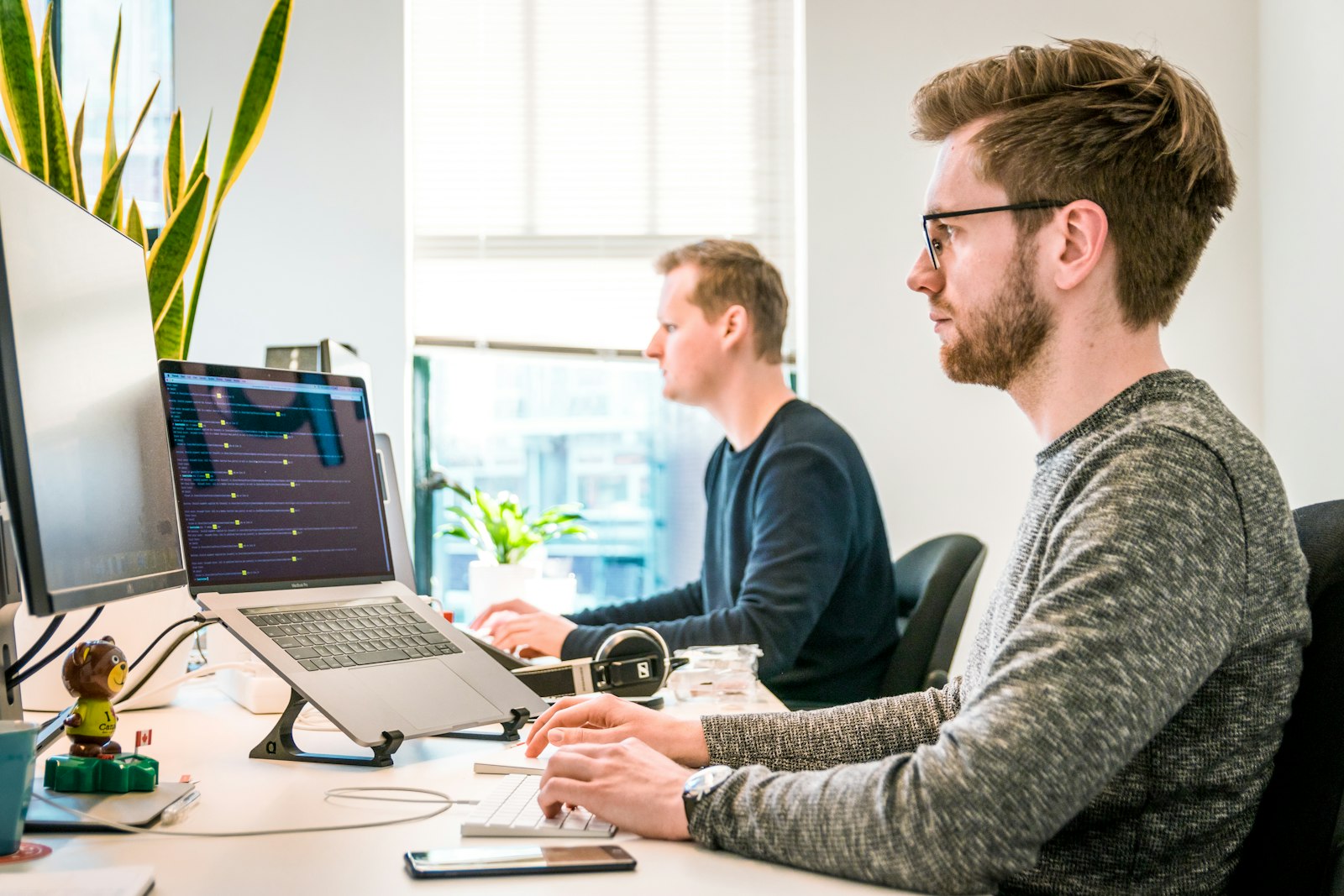 Web Design & Development